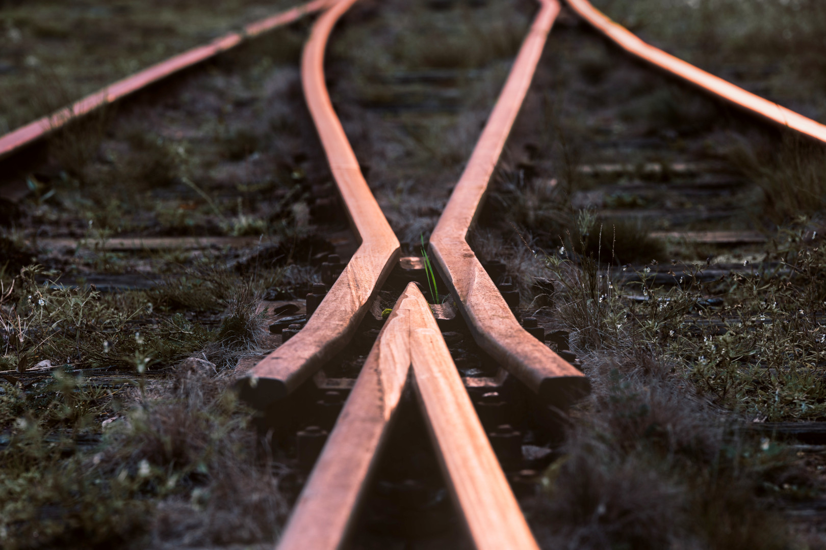Rusty_Railway_Rails